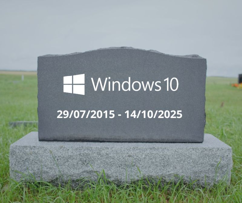 windows 11
